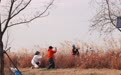 九江：浔阳江畔 诗意风景（图）