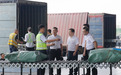 智通四海 贸连八方——武汉深化跨境贸易便利化改革 助力打造内陆开放高地
