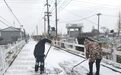 风雪映初心 除雪保畅通——东台市梁垛镇干群同心打响“破冰行动”
