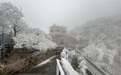 冻雨、雾凇、雨凇、雪凇叠加 泰山之巅 冰晶世界如约而至