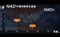 聚焦线粒体健康：NMN开启细胞级精准抗衰新时代，NAD+的科学干预逻辑