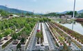 特色产业赋能 铜陵市铜官区西湖镇绘就乡村振兴新图景
