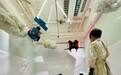 探索以真实体验为基础的创新美育路径 —— 儿童艺术教育实践的新观察