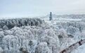 这个寒假去哪玩？极境冰雪·康养同江