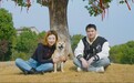 田园犬逆袭“顶流狗演员”  经纪人：它是工作犬，不是宠物