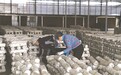 鹰潭余江区：小香菇撑起“致富伞”