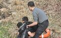 上饶鄱阳一儿童不慎落水，河水冰冷刺骨，民辅警紧急施救