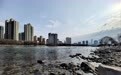甘肃如何擦亮“绿”镜　代表委员发出好声音