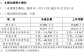 青岛国新健康：预计2025年净亏损4.09亿元