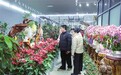 萍乡：年宵花市场供销两旺（图）