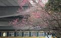 一天暴跌14℃！浙江降温圈扩大，杭州今夜或飘雪！还有两场雨候场
