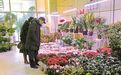辽源市花鸟鱼市场迎来春节前消费旺季