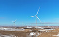 风电赋能绿色发展