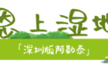 在深圳，散步才是正经事～