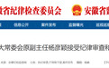 安徽一厅级干部被查！