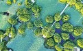 五大重点发力 南昌交出2025湿地保护“成绩单”