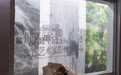 当女性书写神话：在矛盾与行动中寻找语言