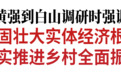 黄强到白山调研