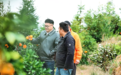 “土特产”卖向全球，赣南脐橙“圈粉”海内外