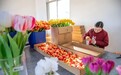 年产值预计超百万元！宜春这个旧校舍“华丽转身”