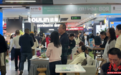 国补叠加厂商优惠 长沙家电市场新春消费热力十足