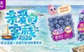 佳沃蓝莓×《亲爱的客栈》焕新首播！以花香脆甜，滋养新年禧岁