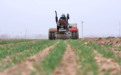 山东：科学春管促壮苗 多措并举保丰收