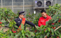 【全民反诈在行动】樱桃园里 民警送来“平安课”