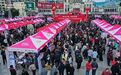 搭平台 强技能 促就业 “正月初九”淳安人力资源交流会聚力惠民