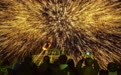 新余分宜：铁花绽放欢度新春（图）