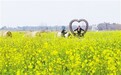 观花海美景、享采摘乐趣、体验民俗文化 南昌农文旅融合带火春节乡村游