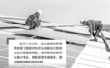 光伏出口退税取消进入倒计时　行业整合有望加速