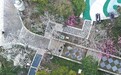 九江：梅花玉兰迎春来（图）