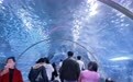 旅拍免单住宿半价……兰州景区优惠礼包宠她得嘞