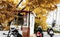 兰山网红路带火近郊摩旅新体验