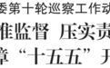 大渡口区委书记张果：推动问题线索边巡边移、边巡边查案和边巡边立案