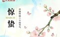 节气里的大美西安丨今日惊蛰 春雷醒万物
