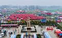 非遗文脉的传承圣地，说唱艺人的心灵原乡——2026中国·宝丰马街书会系列活动启幕