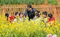 江西峡江：春日课堂（图）