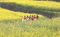 花海醉游人（图）