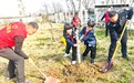 志愿红播种希望 红领巾守护绿荫——合肥市古城小学开展植树节主题活动