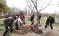 安徽中药科技学校开展“植绿校园 播种希望”植树节主题活动