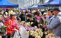 兰州：赏花购花享春光