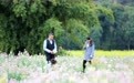 赣州蓉江新区：以花为媒引客来（图）