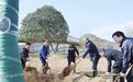 市领导与专家人才代表参加义务植树活动