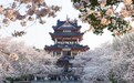 三月春游好去处尊龙凯时无锡探花体验江南韵味领略太湖底蕴！