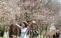最高23℃！今起三天阳光管够！浙江人注意：下周天气有波动