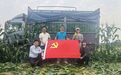 党建引领纾农困 爱心接力暖琼州丨新华保险海南分公司海口中支党支部火速驰援东方鲜食玉米滞销