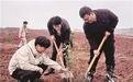乐平：义务植树活动（图）