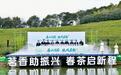 2026宁波春茶开采正式拉开帷幕：一片叶子富裕一方百姓
